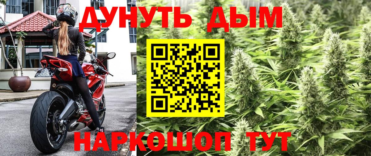 Бошки Шишки план Тельмана